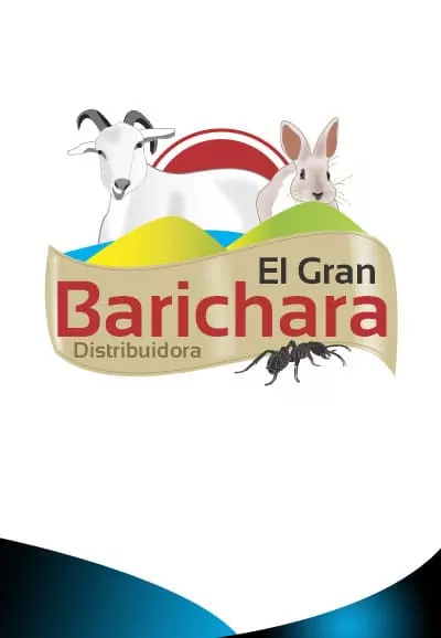 Logo El Gran Barichara