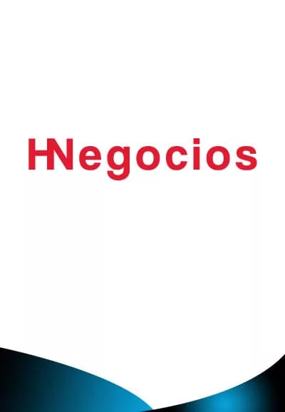 Logo HNegocios